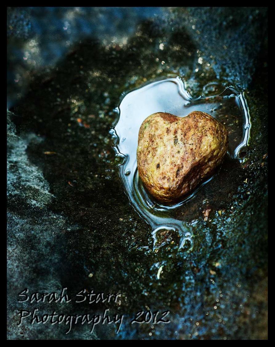 Heart rock in water