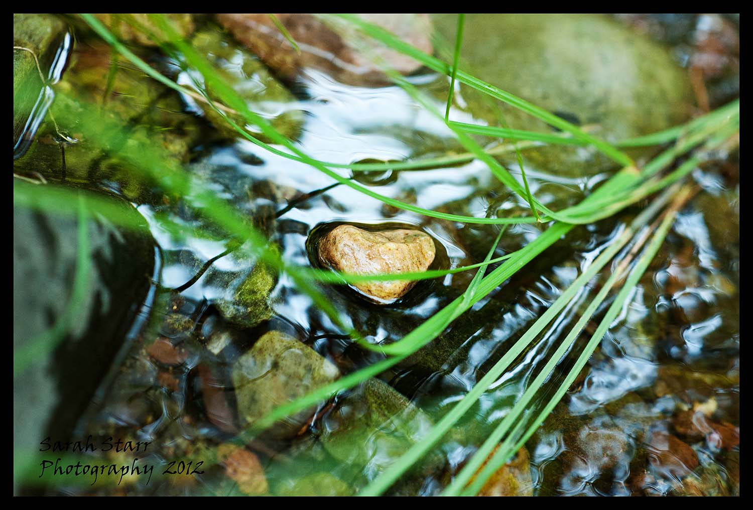 Heart in the river and grass